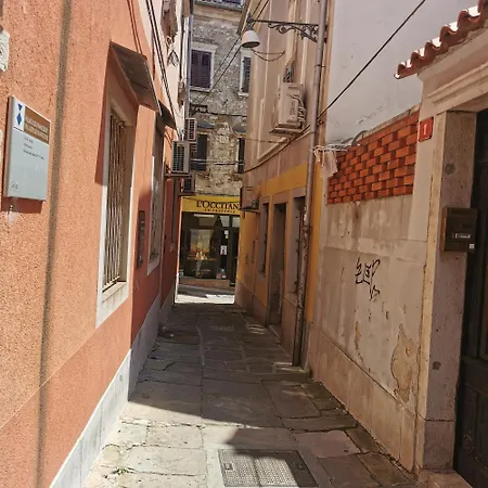 Apartma Jelena Apartment *