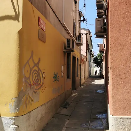 Apartma Jelena *