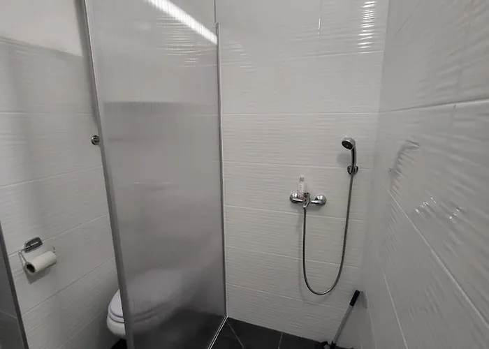 Apartma Jelena 公寓 *