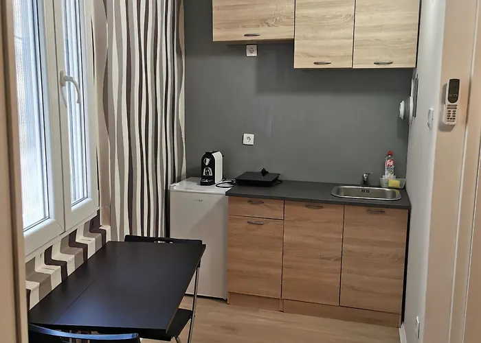 公寓 Apartma Jelena