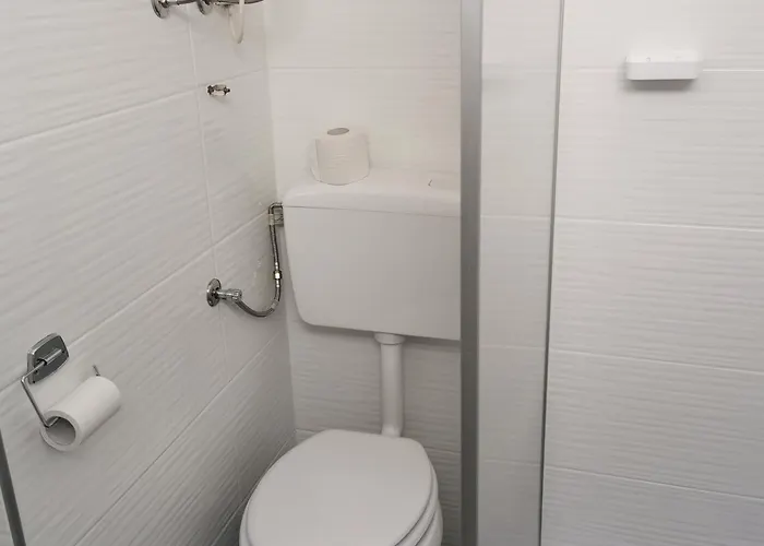 Apartma Jelena 公寓 *