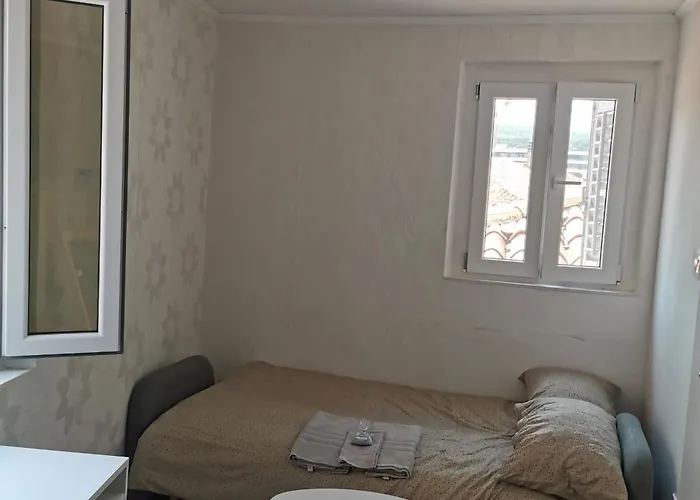 公寓 Apartma Jelena 科佩尔