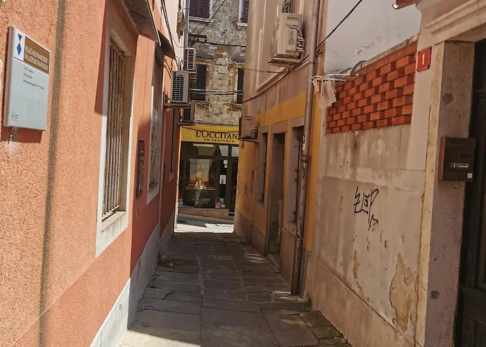 Apartma Jelena 公寓 *